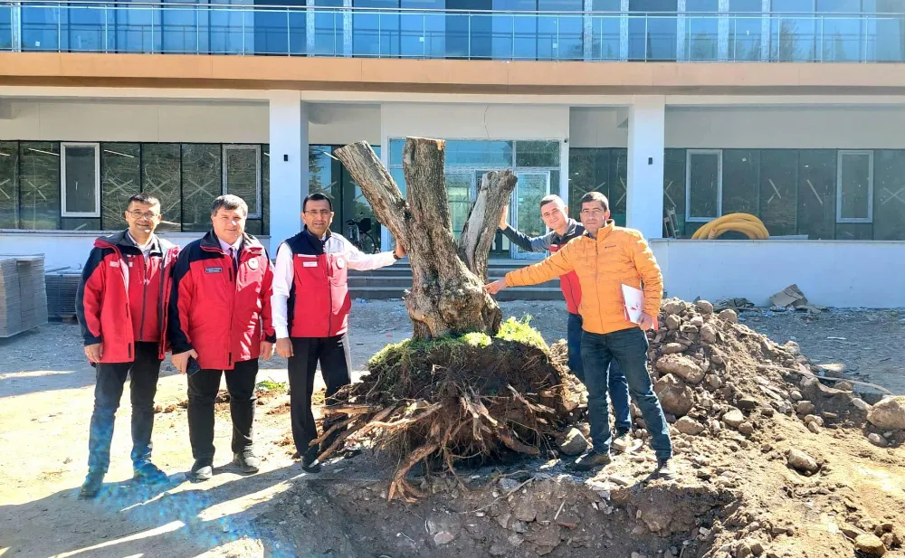 BEREKETİN SİMGESİ BAHÇEDEKİ YERİNİ ALDI